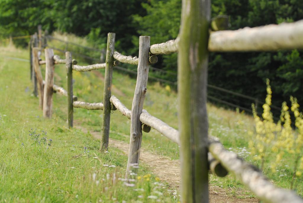 Penzion U Strakatého Koně Blansko Extérieur photo