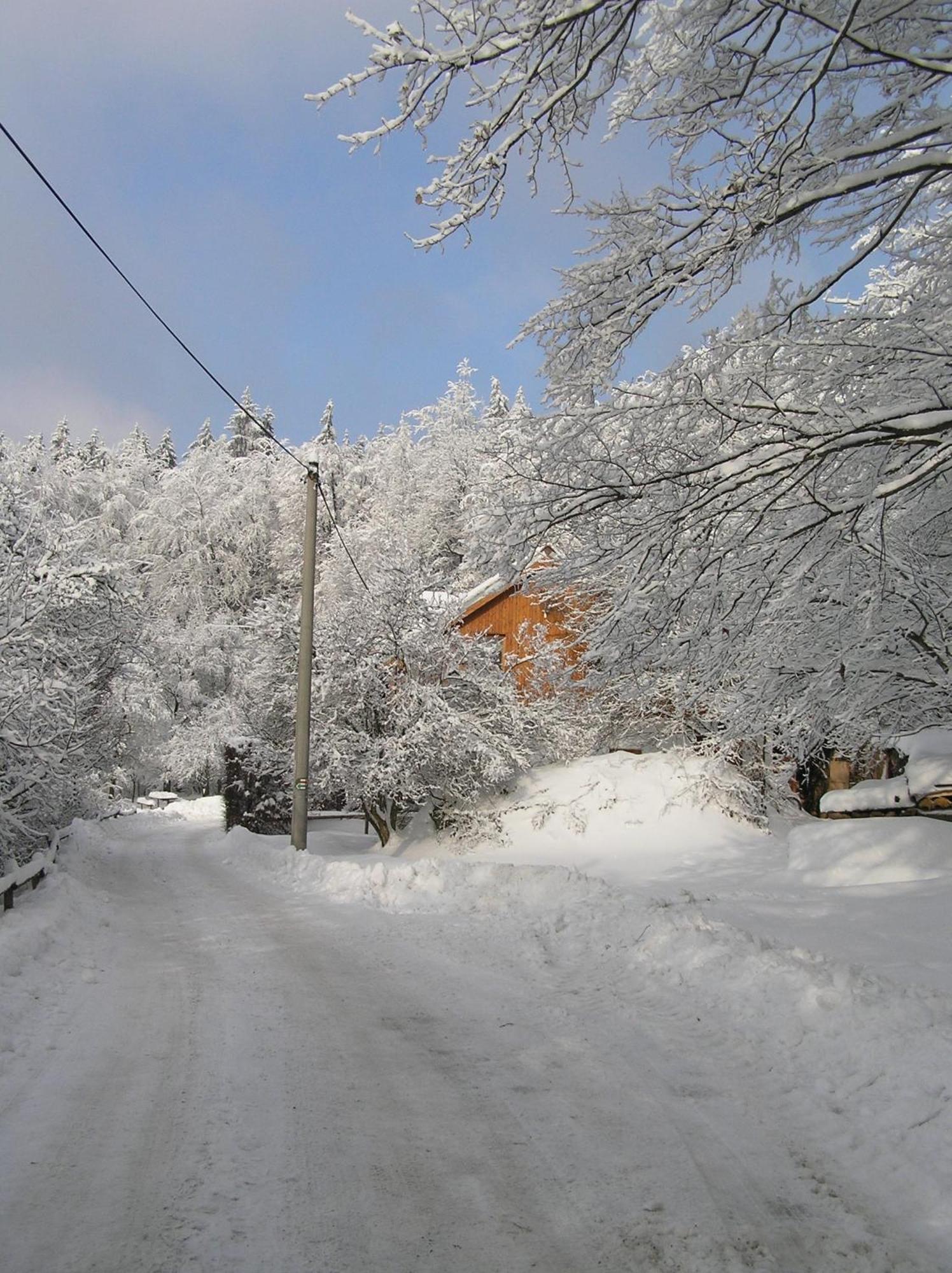 Penzion U Strakatého Koně Blansko Extérieur photo