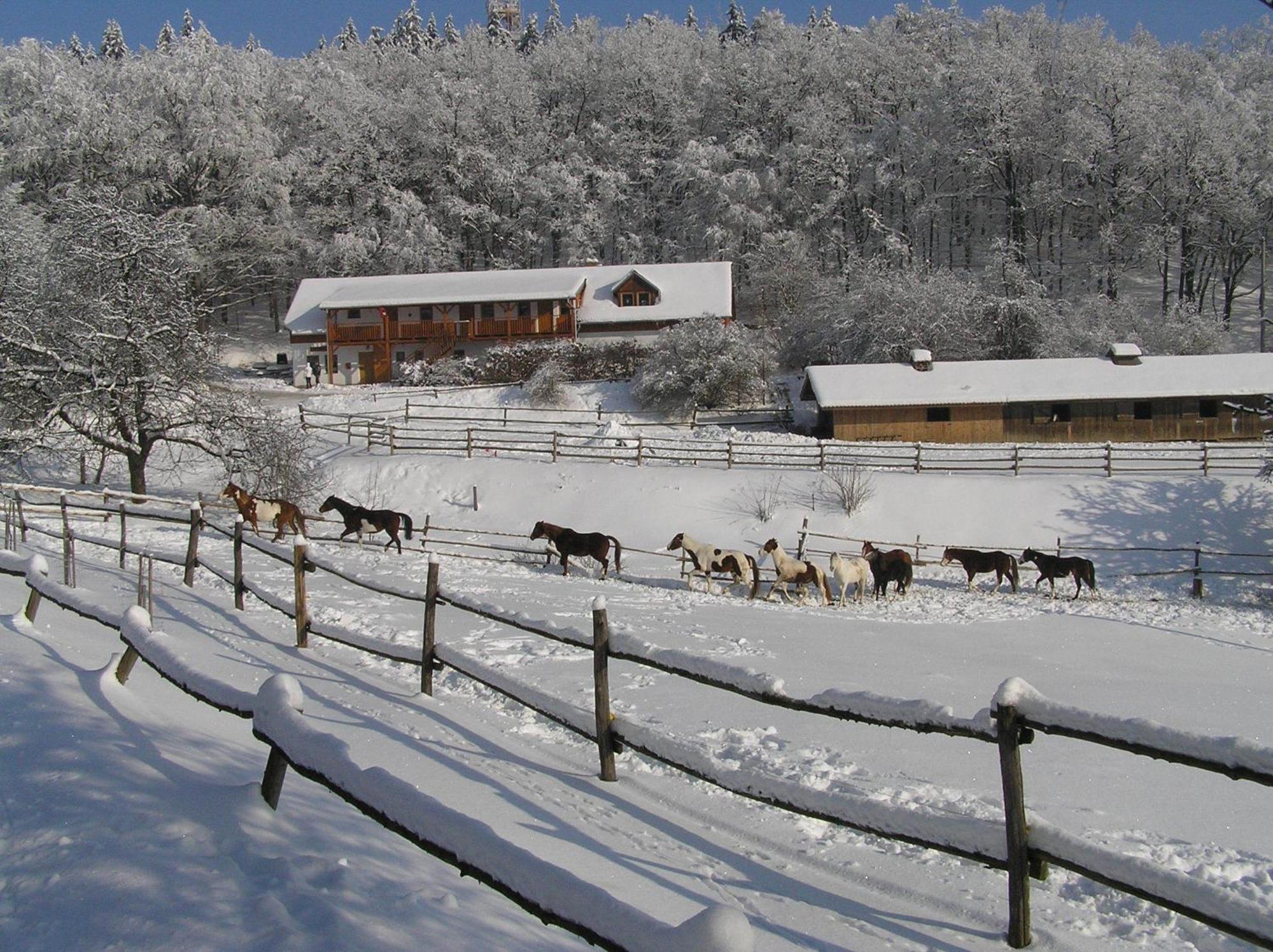 Penzion U Strakatého Koně Blansko Extérieur photo